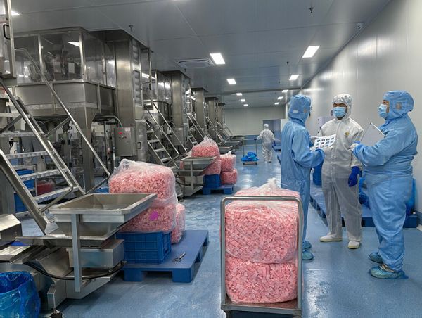 Bulk Supply of Freeze-Dried Strawberry Ice Cream Bulk Supply of Freeze-Dried Strawberry Ice Cream